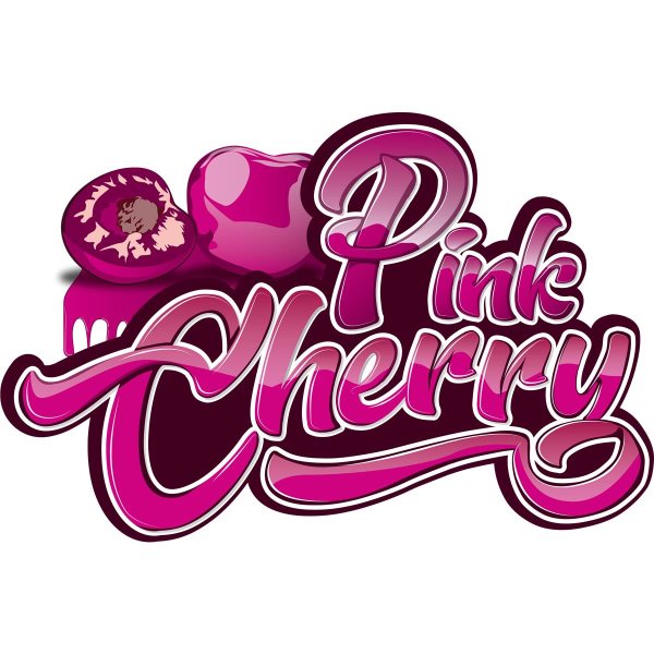 NUKE GUYS PINK CHERRY AUTOSHAMPOO 500ML